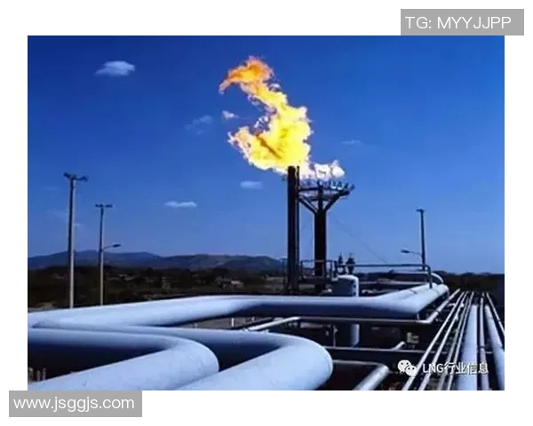 专业解析LNG战队快速进攻策略与战术运用全景分析实时数据