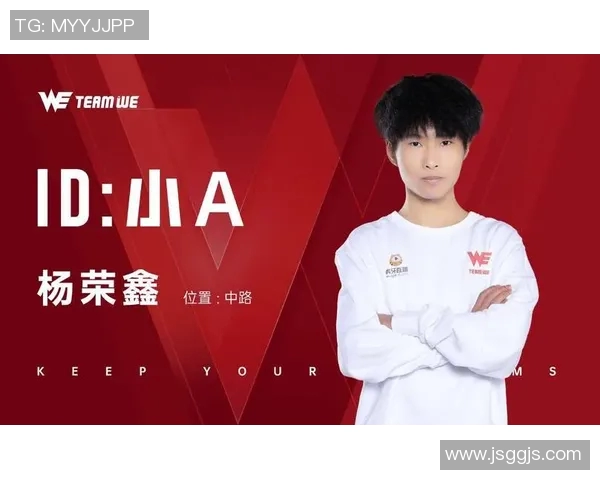 WE在冠军杯中的耐力表现分析与评价探讨